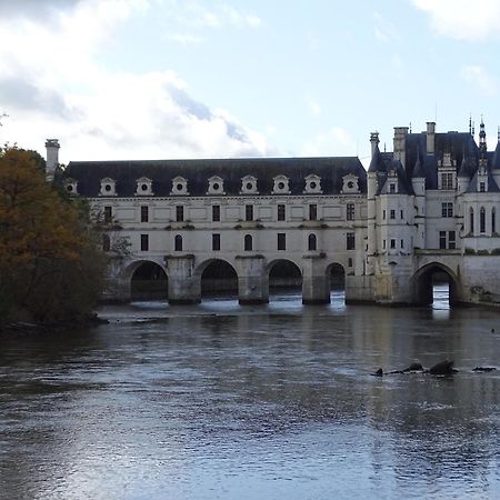 Trainefeuilles - Chambres D'Hotes Proche Zoo De Beauval Le Controis-en-Sologne Exterior photo